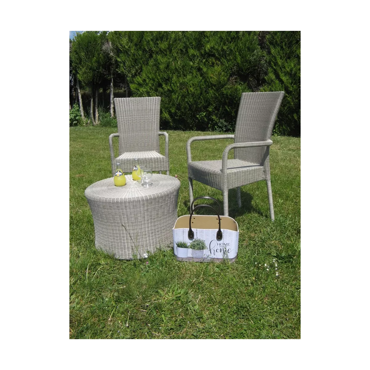 Fauteuil Repas isabelle Résine Gris