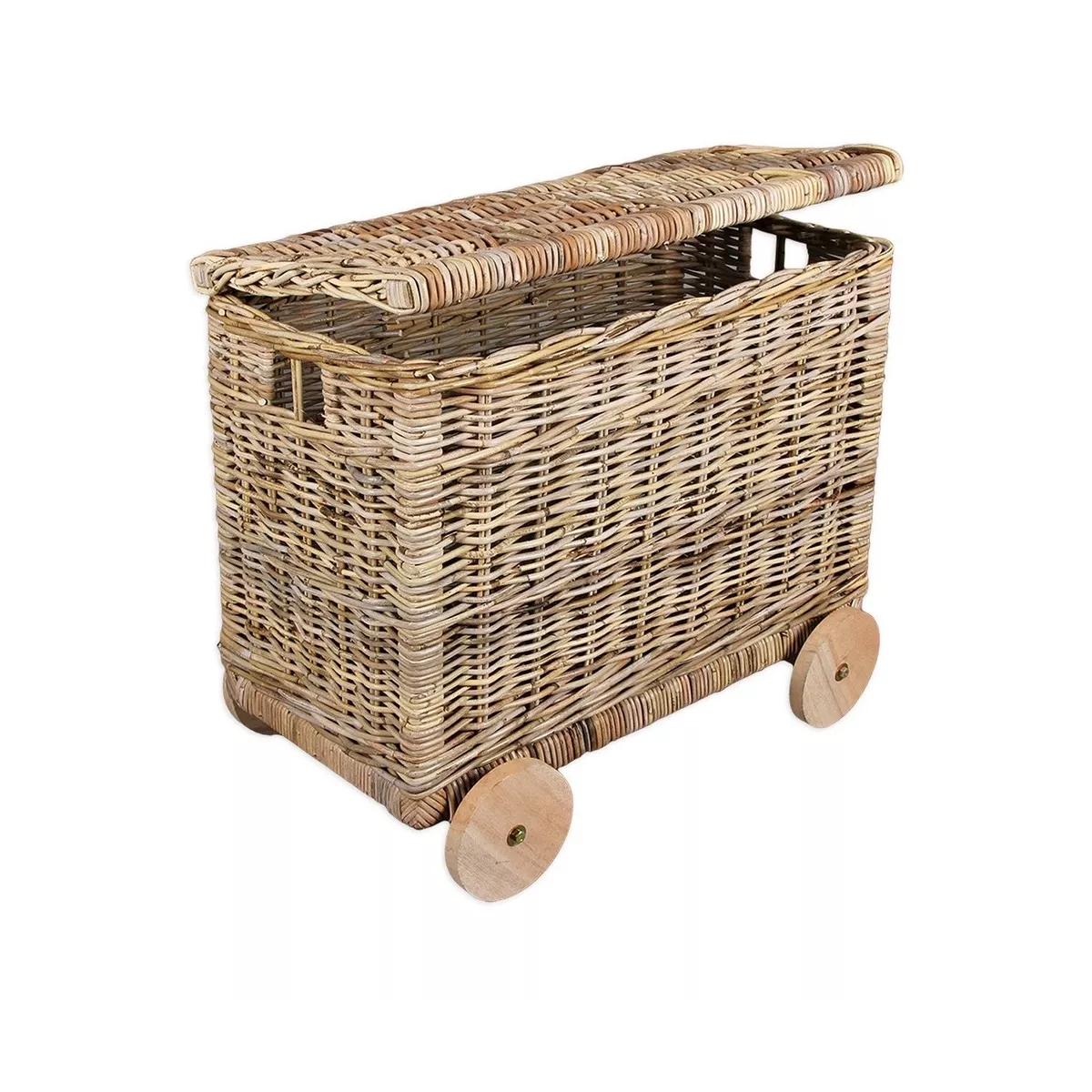 Malle des Gones sur roulettes 70x35