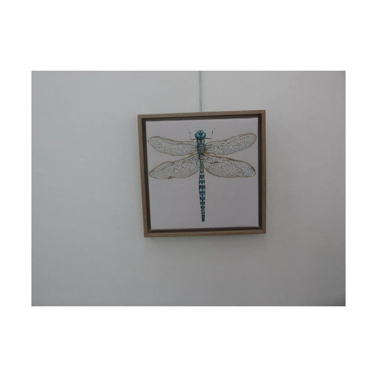 Tableau Libellule I 34x34