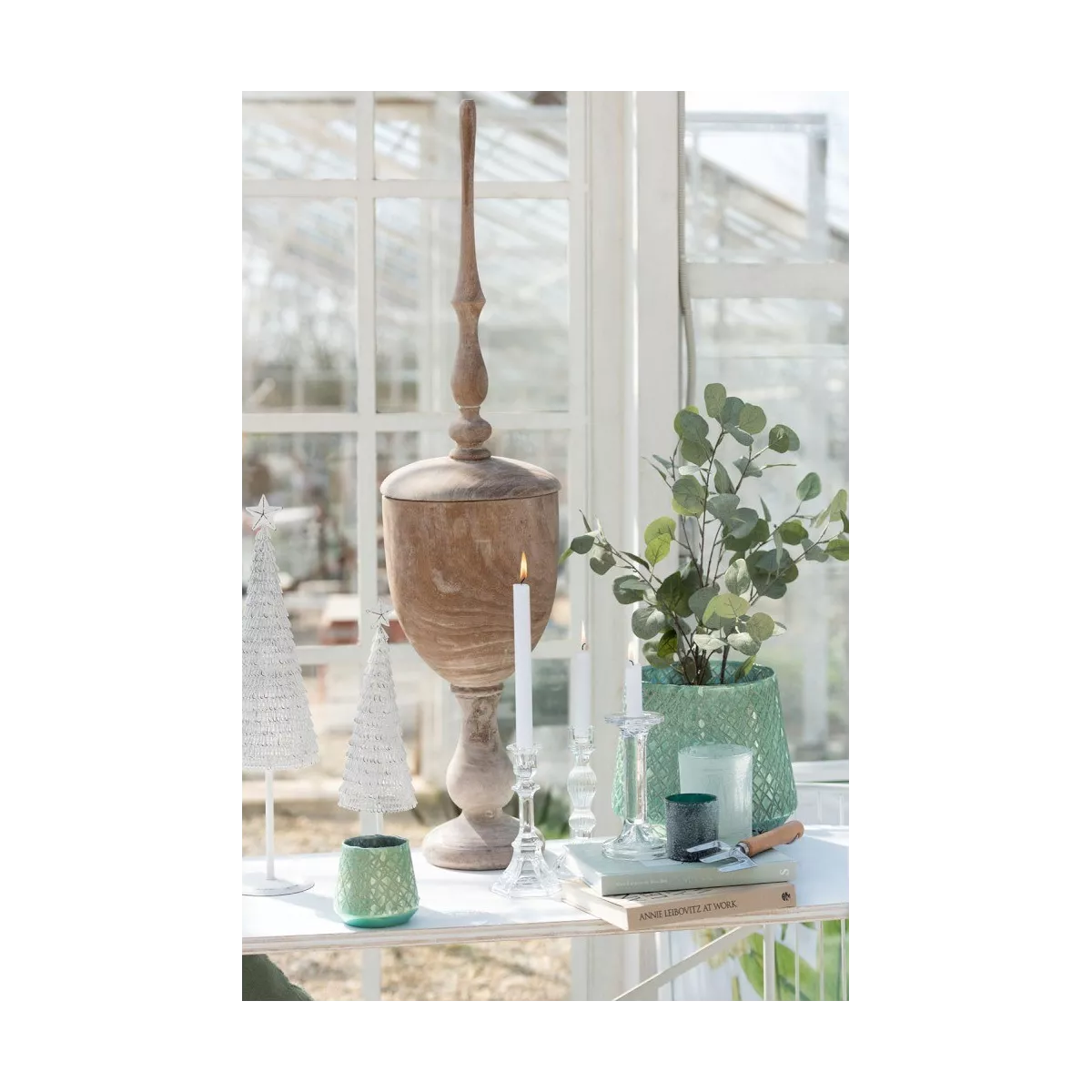 Eucalyptus en pot noir