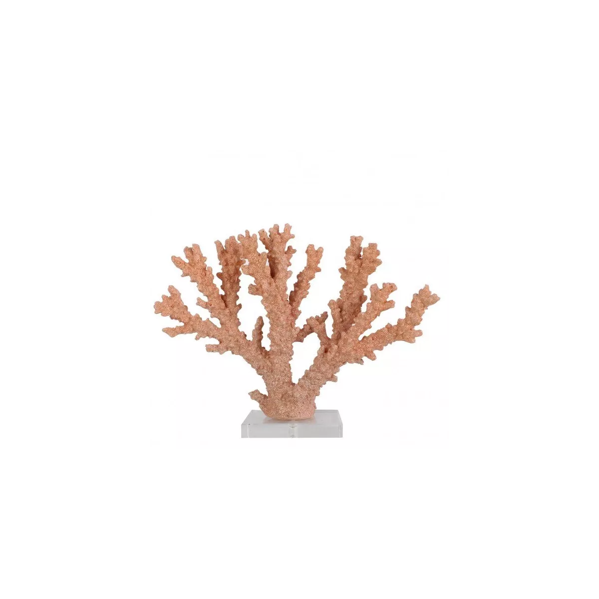 Récif Corail 35x27
