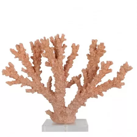 Récif Corail 35x27