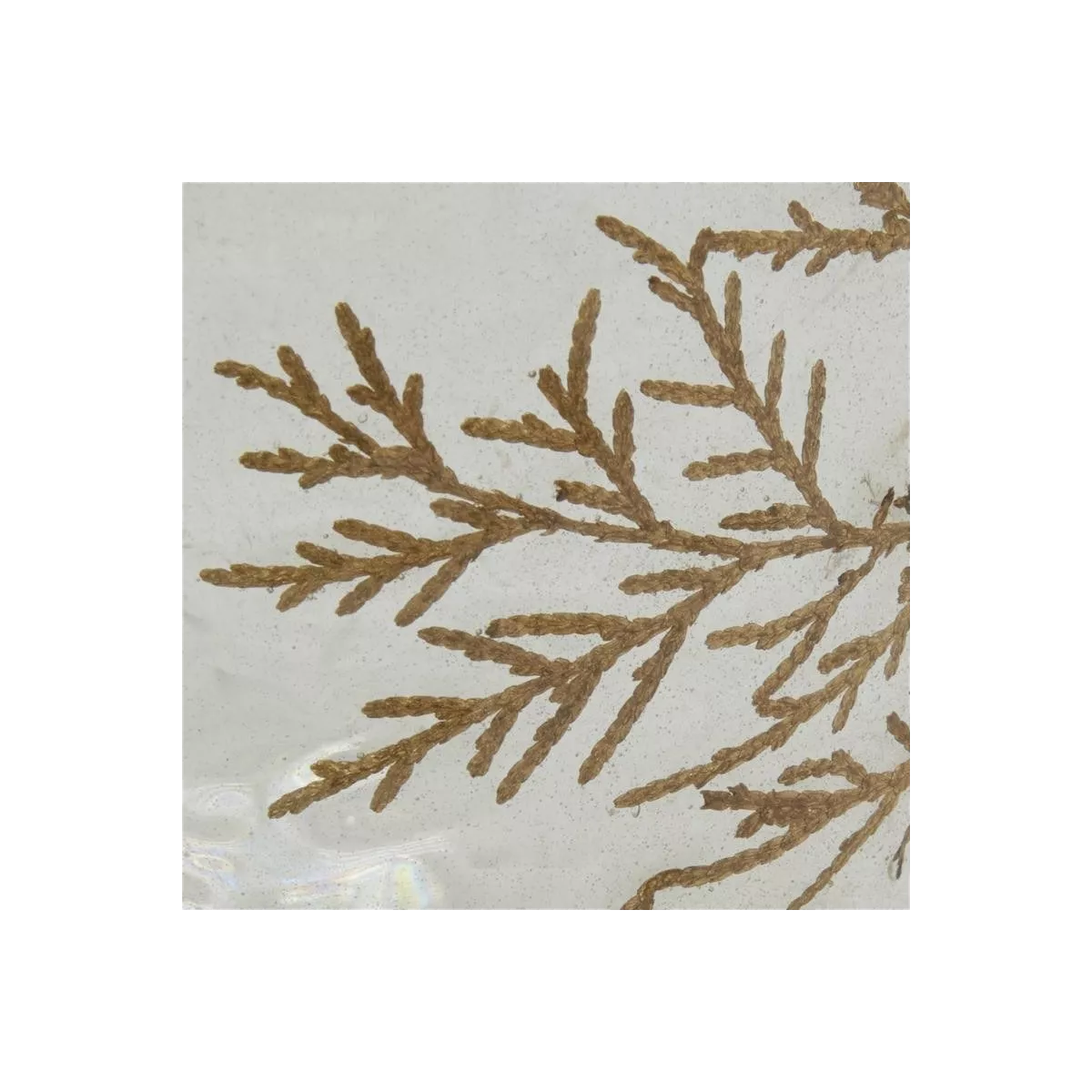 photophore en verre et fougère H.15cm