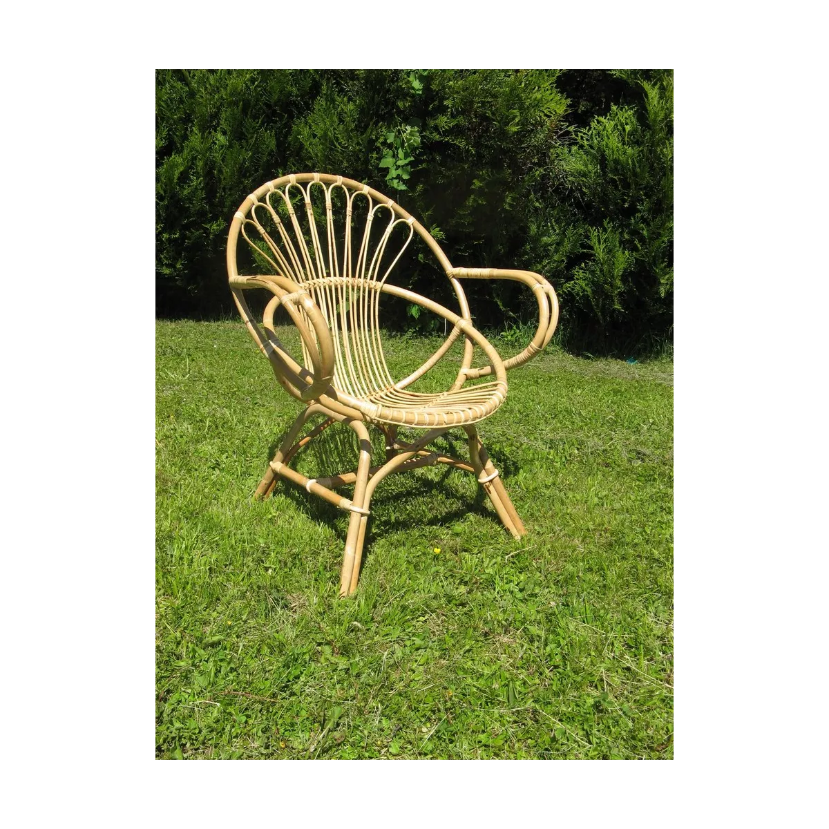 Fauteuil Rotin Coquille