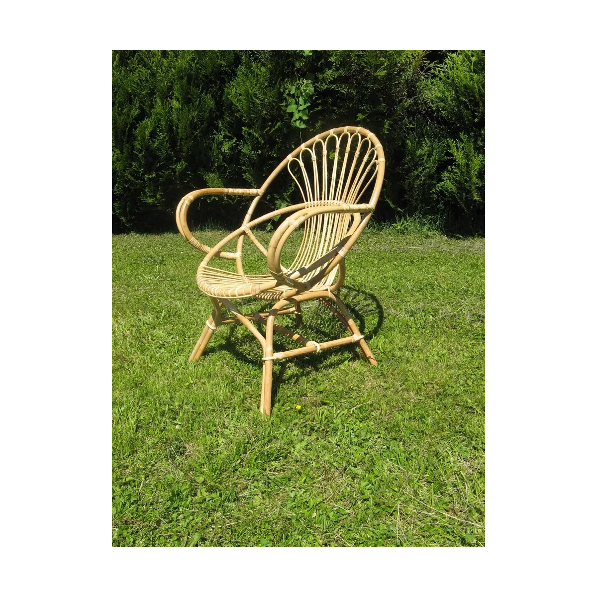 Fauteuil Rotin Coquille
