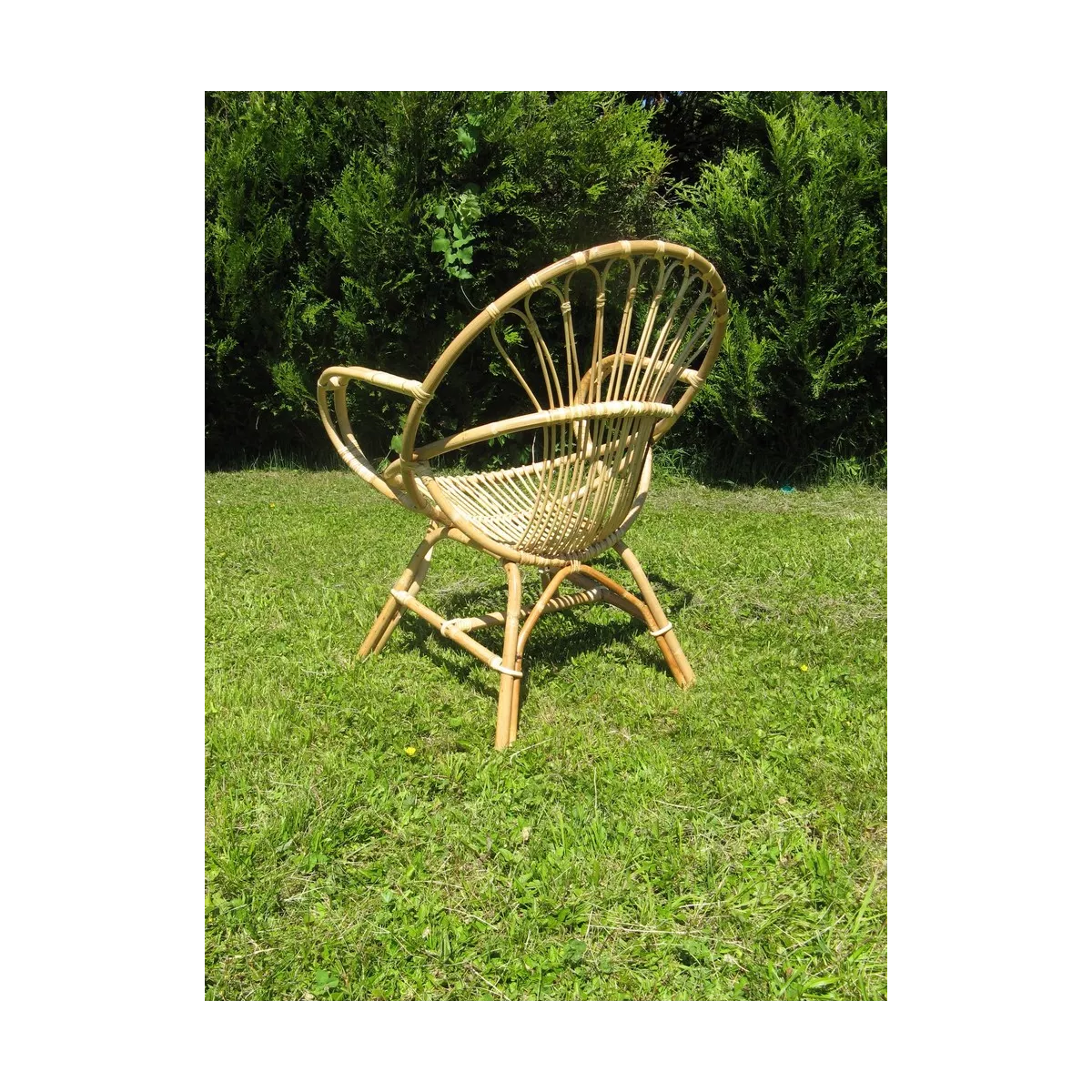 Fauteuil Rotin Coquille