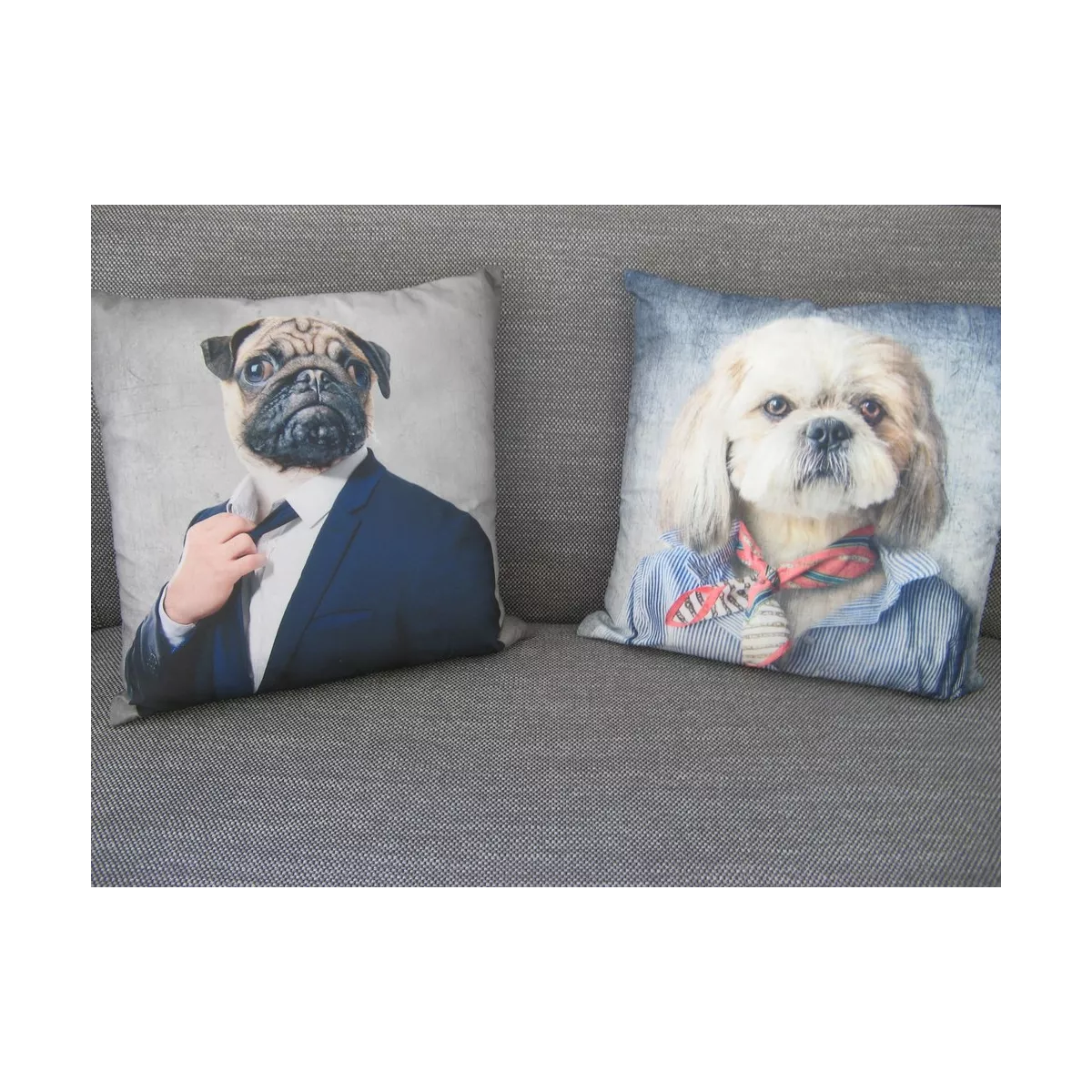Coussin Chien Cabotin