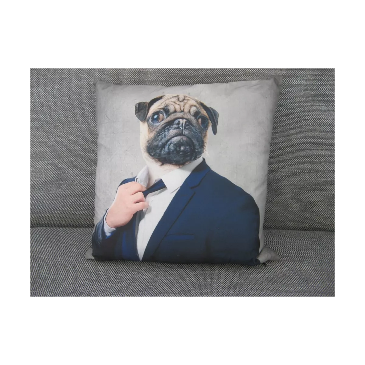 Coussin Chien Cabotin