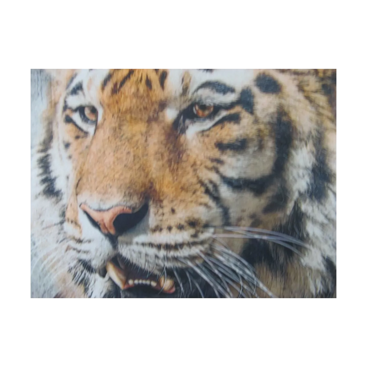 Coussin Homme-Tigre