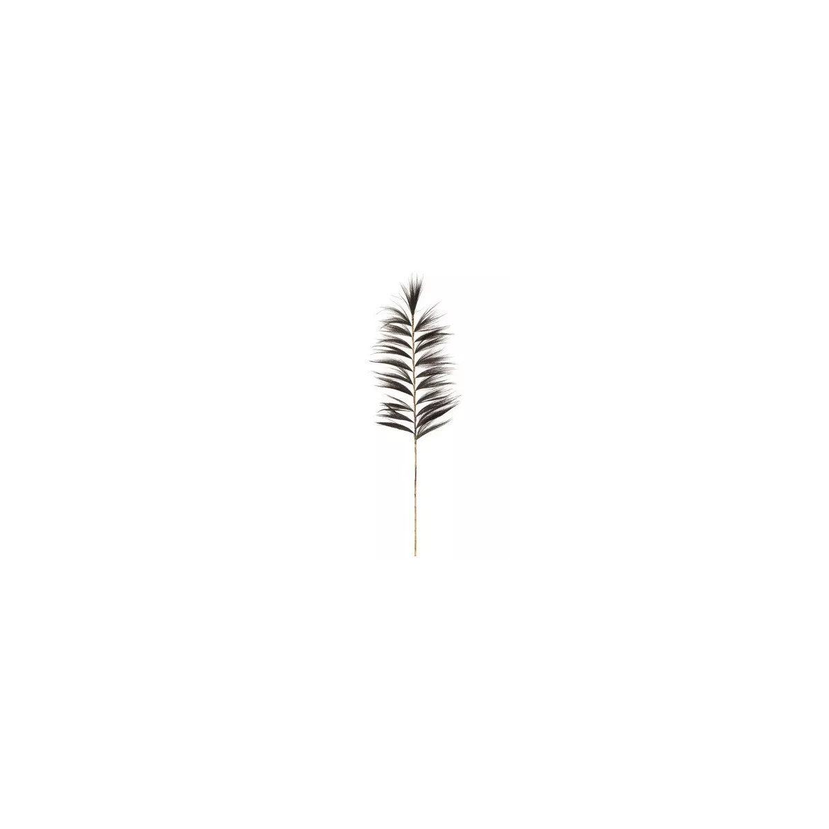 Feuille déco Herbe Noire 228cm