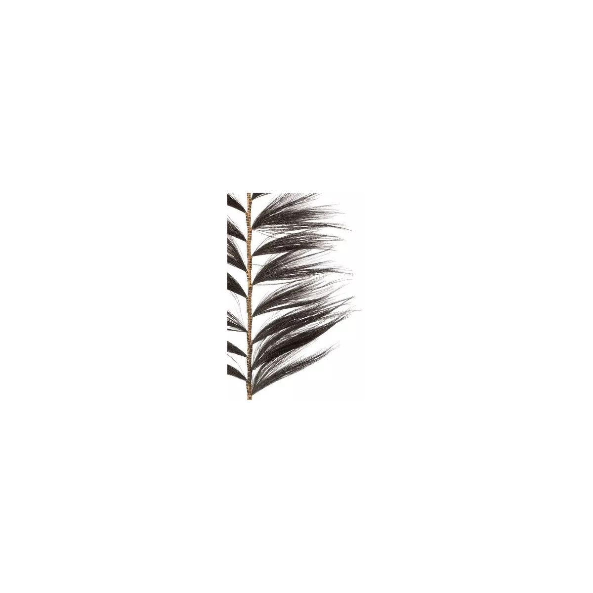 Feuille déco Herbe Noire 228cm
