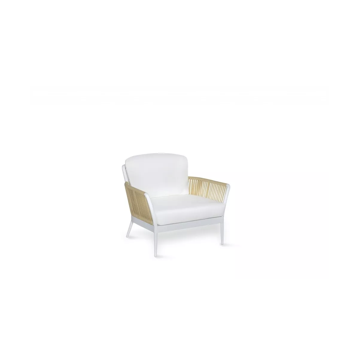 Fauteuil Arenas