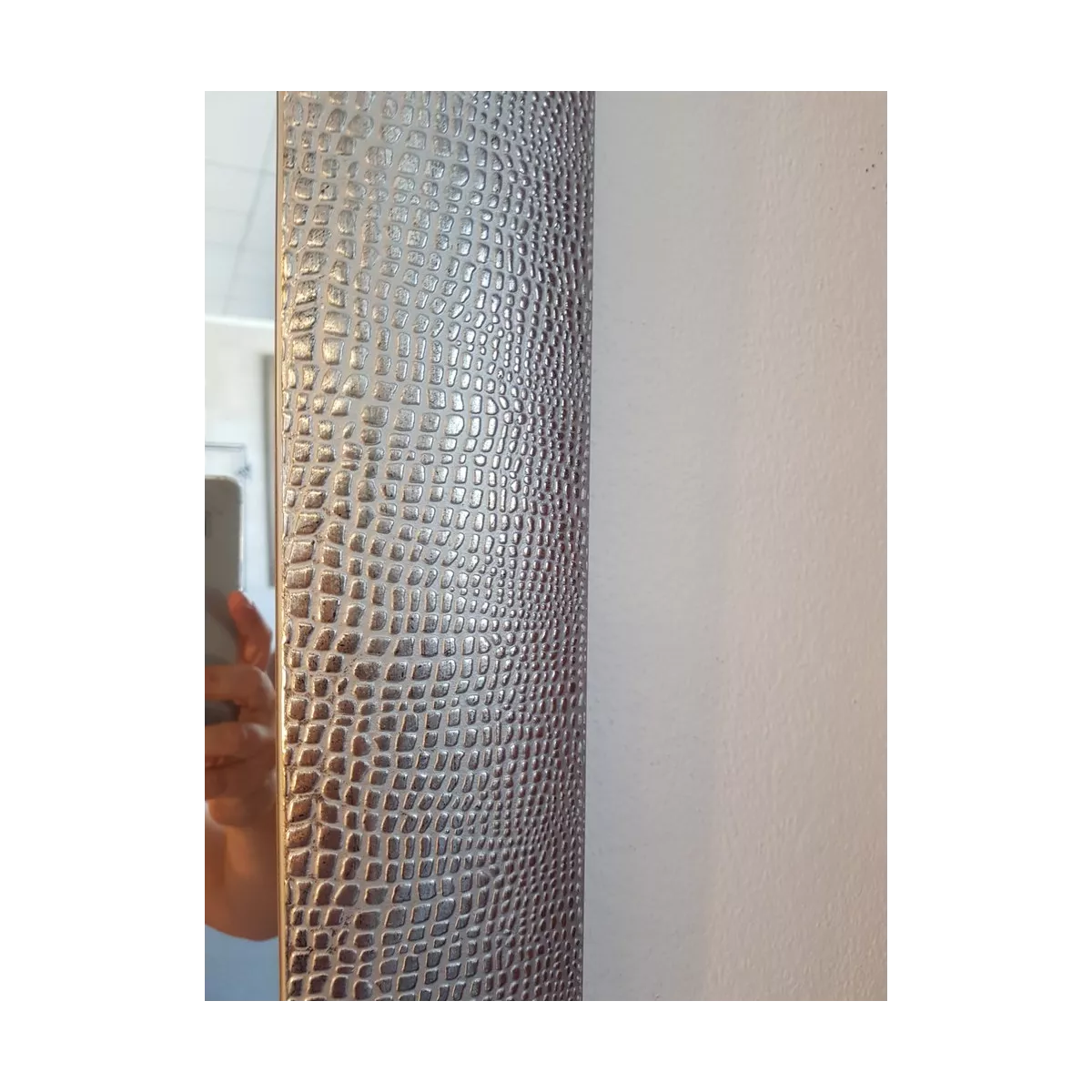 Miroir Gombe Argent 57x157