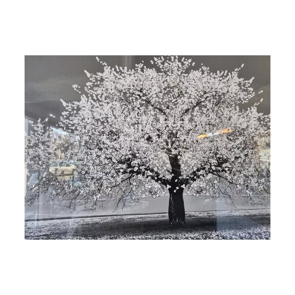 Tableau Arbre Blanc liquide gel 116 x 76