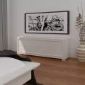 Commodes