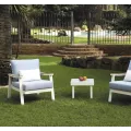 Fauteuils de Salon