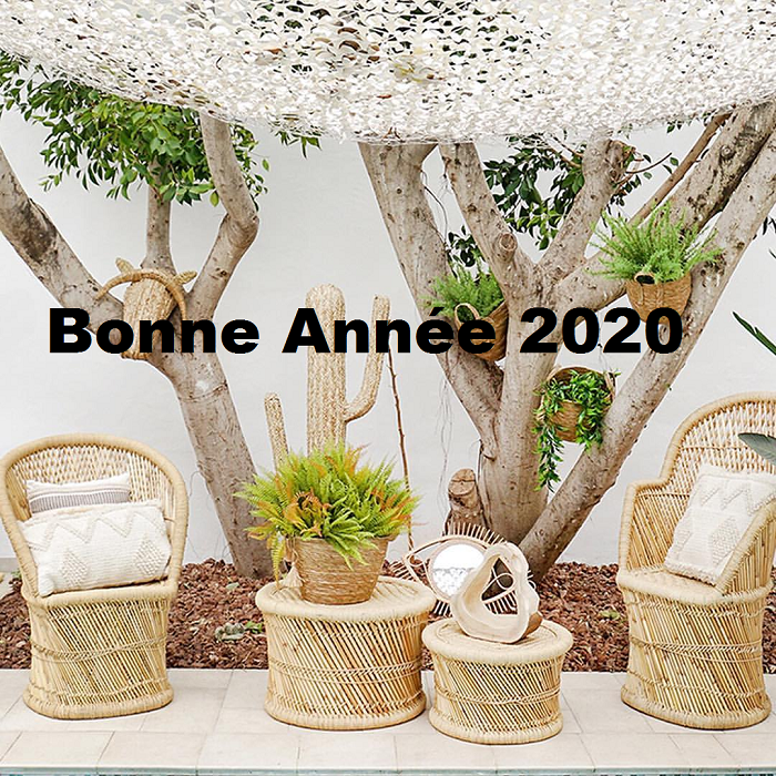 BONNE ANNEE 2020