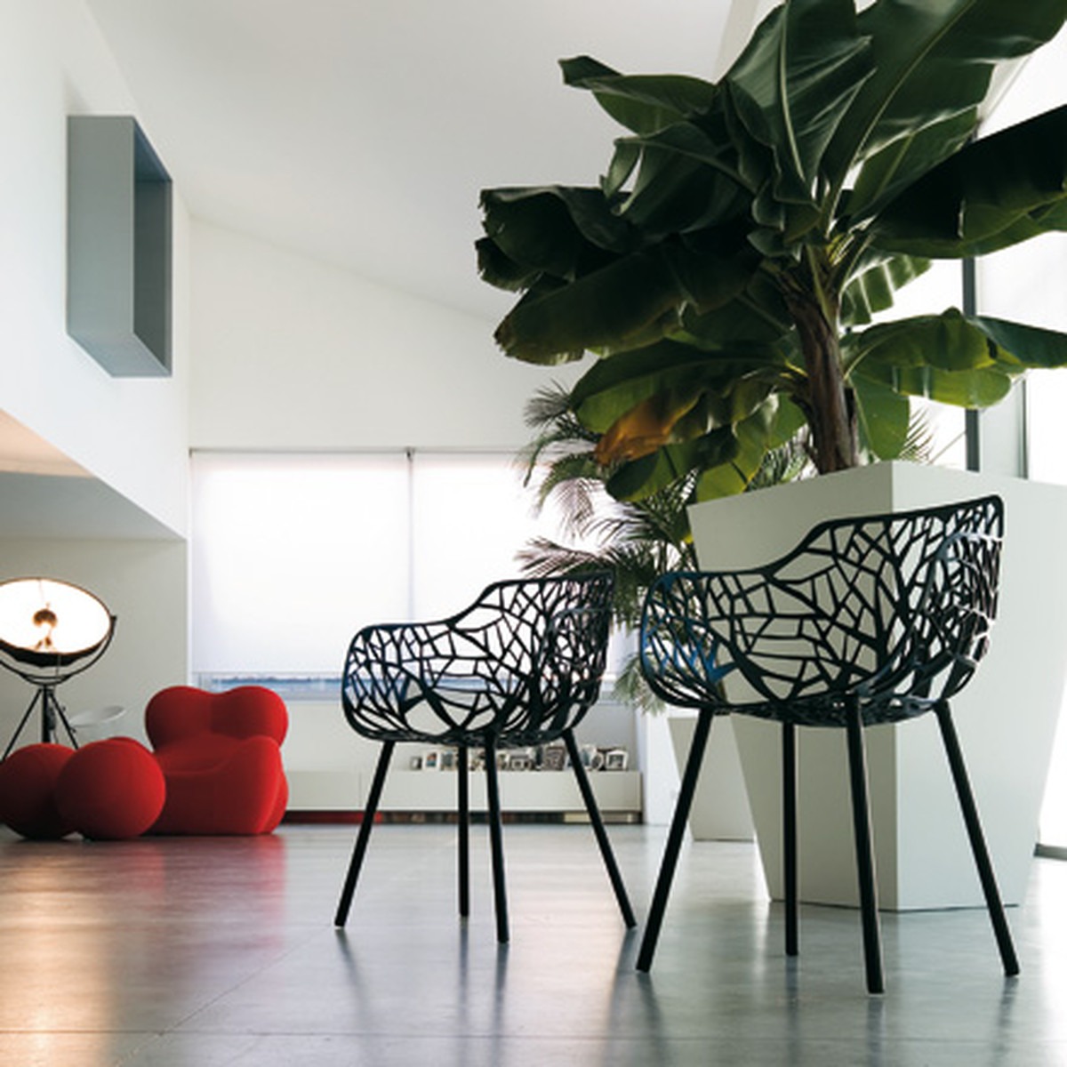 Collection Forest en stock