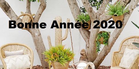 BONNE ANNEE 2020