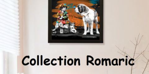 Collection Romaric.